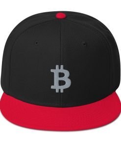 BITCOIN ICON GREY - Snapback Hat - Image 10